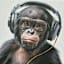 Gamer Chimpanzee Canvas Wall Art, 12x16