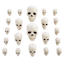 Bag of Skulls