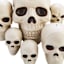 Bag of Skulls
