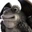 Grim Gardens Winged Frog Statue, 24"