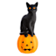 LED Cat on Jack-O-Lantern Blow Mold, 24"