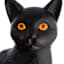 LED Cat on Jack-O-Lantern Blow Mold, 24"