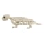 Skeleton Turtle