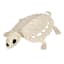 Skeleton Turtle