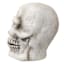 Giant Skull with Multicolor LED Eyes, 25"
