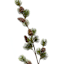 Glitter Ming Pine/Cone Spray, 28"