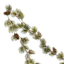 Glitter Ming Pine & Cone Garland, 66"