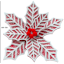 Frosted Poinsettia Clip, 10"