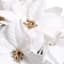 White Poinsettia Kissing Ball, 8"
