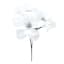 3-Pack White Poinsettia Bush, 12.5"