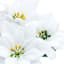Set of 4 White Poinsettia Floral Bush, 12.5"