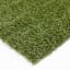 (E451) Artificial Turf, 8x10