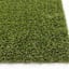 (E451) Artificial Turf, 8x10