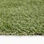 (E451) Artificial Turf, 8x10