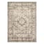 (B500) Xander Ivory & Tan Area Rug, 5x7