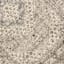 (B500) Xander Ivory & Tan Area Rug, 5x7