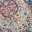 (B518) Luna Medallion Multicolor Fringe Area Rug, 5x7