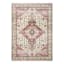 (D581) Khloe Multicolor Medallion Design Area Rug, 5x7