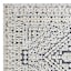 Clarissa Black & Ivory Global Area Rug, 5x7