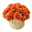 Orange Marigold in Basket, 9"