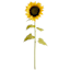 Yellow Oversized Sunflower Stem, 49"