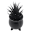 Midnight Shadows Black Succulent Arrangement, 7"