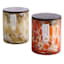 Pumpkin Macadamia Scented Jar Candle, 9.3oz