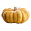Harvest Pumpkin Trio