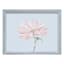 Framed Flower on Color Wall Art, 16x12