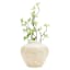 Neutral Embossed Flower Ceramic Vase, 7"