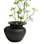 White Terracotta Vase, Medium