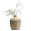 Matte Light Terracotta Natural Ceramic Vase, 11x13