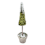 Homespun Natural Moss Tabletop Tree, 12"