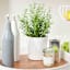 REAL SIMPLE White Ceramic Oil Bottle, 13oz