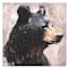Bear Printed Linen Box Art, 8"