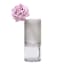 Ele Clear Grey Glass Top Cylinder Vase, 12"