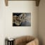 Framed Wall Art, 40x30