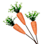 Orange Carrot Picks, 20"