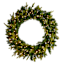 Pre-Lit Battery Operated Bradley Wreath, 24"