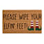 Please Wipe Your Feet Doormat, 18x30