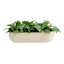 Japi Neutral Rustic Window Box Outdoor Planter, Large