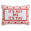 Valentine's It's Not Me Its You Needlepoint Sentiment Throw Pillow, 14x20