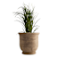 Yumi Terracotta Planter, Medium