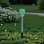 Solar Color Changing Rose Pathway Light