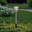Solar Color Changing Rose Pathway Light