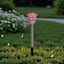 Solar Color Changing Rose Pathway Light