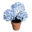 Light Blue Hydrangea Arrangement in Terracotta Ceramic Pot