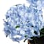 Light Blue Hydrangea Arrangement in Terracotta Ceramic Pot