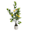 Lemon Tree Arrangement in Ceramic Pot, 48"