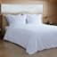 Providence 3-Piece White Cotton Velvet Comforter Set, King